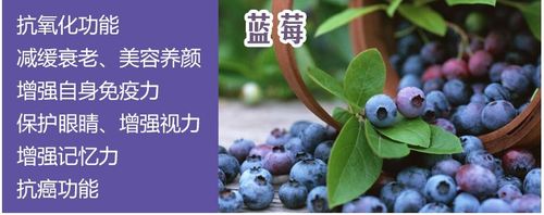 直销产品合作蓝莓酵素饮料定制加工生产oem工厂